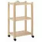 Ecopostural 3-planken trolley Ecopostural A4474