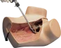 Gynecologic Simulator ZOE W45043