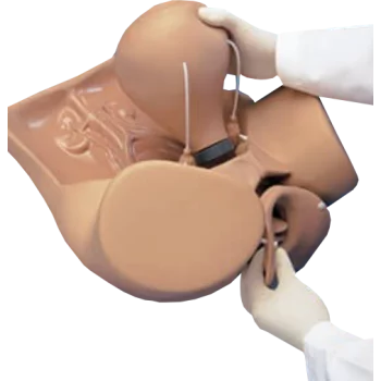Gynecologic Simulator ZOE W45043