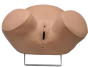 Gynecologic Simulator ZOE W45043