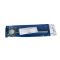 Babinsky Reflex Hamer
