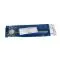 Babinsky Reflex Hamer