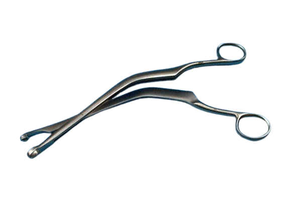Pince à Biopsie Gynécologique J.L. Faure, 21 cm, 9x5 mm