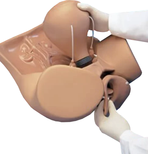 Gynecologic Simulator ZOE W45043
